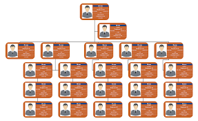 Business Employee Organizational Chart Examples