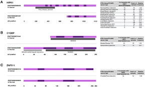 The most common type of kidney cancer, accounting for roughly 90% of these cancers, is renal cell carcinoma. Gene Structure And Frequency Of Cancer Specific Most Dominant Download Scientific Diagram