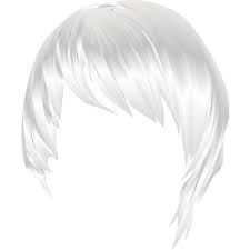 Hair Style 20 Png Liked On Polyvore Featuring Hair Wigs Doll Hair Dolls And White Hair Doll Hair Hair Styles Doll Parts