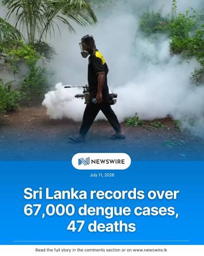 Dengue Epidemic Claims 47 Lives, Cases Cross Over 67,000 in Sri Lanka