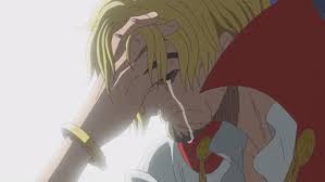 you re the one who gets hurt one piece in 2021 one piece episodes one piece anime cute animal drawings kawaii