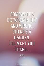 This Time It Could Be Different In 2020 Rumi Love Quotes Rumi Quotes Rumi