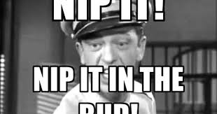 Pin On Andy Griffith Show