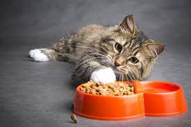 La porzione media di cibo umido per gatti fatto in casa varia in base alla taglia (peso) dell'animale. Cibo Per Gatti Fatto In Casa Non Sprecare