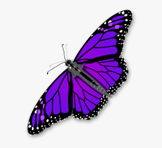 Monarch Butterfly Transparent Monarch Butterfly Gif Hd Png Download Transparent Png Image Pngitem Butterflies are insects in the macrolepidopteran clade rhopalocera from the order lepidoptera, which also includes moths. transparent monarch butterfly gif hd