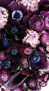 48 Ideas Flowers Background Fall Flower Background Iphone Purple Flower Background Flower Wallpaper