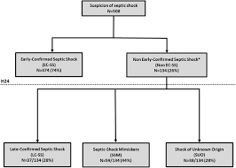 Septic Shock With No Diagnosis At 24 Hours A Pragmatic