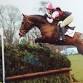 Adult/over 14 training camp at Somerford event image