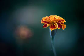 Maybe you would like to learn more about one of these? Breaking The Silence Baby Loss In India Still Standing Magazine