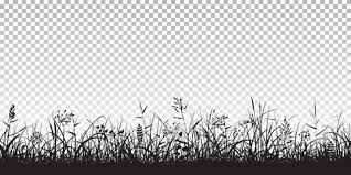 Black Silhouettes Of Grass Grass Silhouette Black Silhouette Silhouette Vector