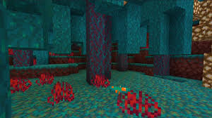 To access the nether, the player must construct a nether portal in the overworld (portals created in the end do not activate). Minecon 2019 Reveals Minecraft Earth Launch Window New Dungeons Trailer And More