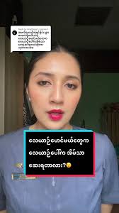 လေယာဉ်မောင်မယ်တွေက လေယာဉ်ပေါ်က အိမ်သာ ဆေးရတာလား? 😮