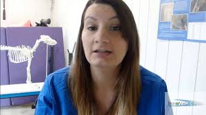 Animal First Aid and Emergency Triage for Vet Receptionists