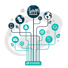 Digital Marketing Agency - Lead Generation - Online Sales