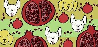 Pomegranate seeds, encased in an aril that contains juice, are low in calories and high in vitamins, fiber, and phytochemicals. Why Dogs Shouldn T Eat Pomegranate Littlethings Com