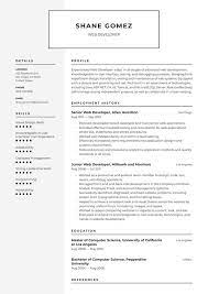 Short and engaging pitch for resume / the goal is to introduce yourself. Web Developer Resume Examples Writing Tips 2021 Free Guide