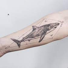 Simple white tattoo with an elephant on your leg. Pony Reinhardt Tattoo On Instagram Double Greats Great White Shark Swimming Up The Forearm Thanks Jason Shark Tattoos Animal Tattoos Trendy Tattoos