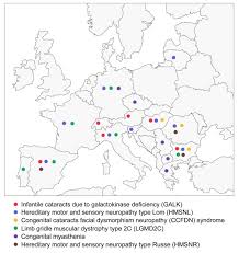 Someone with blood type ab must have both the a and b alleles. Genetic Studies Of The Roma Gypsies A Review Bmc Medical Genetics Full Text