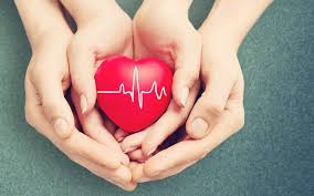 (used to wish good health, especially to a. Gesundheit Im Buro Tipps Fur Einen Gesunden Arbeitsplatz Workingoffice De