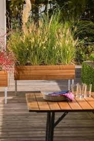 Pflanzeninsel Von Weishaupl Bild 3 Pflanzen Hochbeet Hochbeet Holz