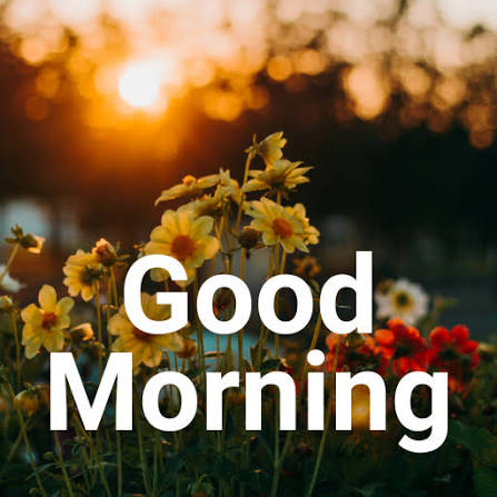 shared image