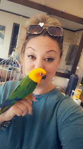 Lost bird Peaches in Village Park West area