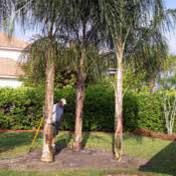 Check spelling or type a new query. Twin Oaks Ranch Nursery Project Photos Reviews San Marcos Ca Us Houzz