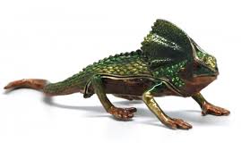 See everything you will need to give your frilled dragon the perfect setup. Buy Frilled Neck Lizard Green Diamante Jewelled Trinket Box