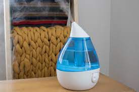 Check spelling or type a new query. How To Clean A Humidifier Hgtv