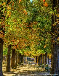 Jardin Du Luxembourg 75006 Paris Luxembourg Gardens Paris Places To See