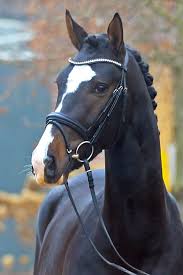 Maybe you would like to learn more about one of these? St Patrick Hof Sosath