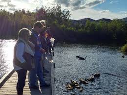 Select a topic to see what people are saying about different issues. Mallard S Landing Rainbow Routes Association
