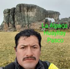 William Artemio Soto Robles