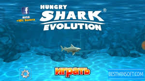 We are about to embark on another exciting summer. Hungry Shark Evolution For Android Free Download