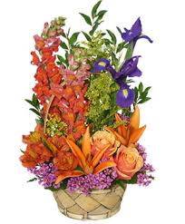 Check spelling or type a new query. Mercedes Florist Mercedes Tx Flower Shop Sackk S Flowers Gifts