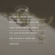 Jesus Les Dijo Yo Soy El Pan Que Da Vida El Que Confia En Mi Nunca Mas Volvera A Tener Hambre El Que Cree En Mi N En 2020 Decir No