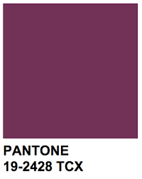 hue chroma paletas de cores neutras paleta de cores suvinil cores roxas