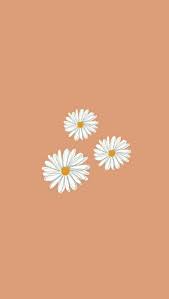 This article includes instructions for how to change the background on your apple using your own pho. Minimalist Wallpaper Apple Watch Wallpaper Watch Wallpaper Apple Watch Faces