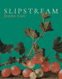 Slipstream — Tupelo Press