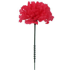 Maybe you would like to learn more about one of these? Fast Shipping Worldwide Larksilk Cream White Silk Carnation Picks Artificial Flowers For Weddings Decorations Diy Decor 100 Count Bulk 3 5 Carnation Heads With 5 Stems Home Kitchen Unique Design Zs Procha Cz