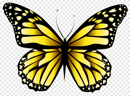 We did not find results for: Butterfly Orange Yellow Butterfly Clipar Yellow And Black Butterfly Illustration Purple Brush Footed Butterfly Png Pngegg