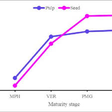 Image result for Pancovia