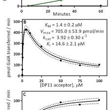 We did not find results for: Pdf A Two Phase Model For The Non Processive Biosynthesis Of Homogalacturonan Polysaccharides By The Gaut1 Gaut7 Complex