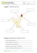 Arbeitsblatt Huhn Beschriften Grundschule Huhner Und Thema Bauernhof
