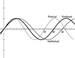 Graph Biorhythm Cycles Dummies
