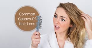 Thinning hair or permanent hair loss is also termed alopecia. Common Causes Of Hair Loss Fairview Laser Clinic Inc