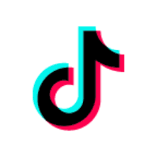 Tiktok Lite 1 3 2 By Bytemod Pte Ltd Download App Ironic Memes Tok