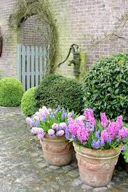 (and bloom, of course!) photo below by 'flower bulb crazy'. 9 Gorgeous Spring Container Gardens Container Plants Bulb Flowers Spring Planter