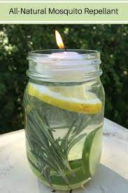 Put These Bug Repelling Mason Jars Outside And Mosquitoes Will Stay Far Away All Summer Natural Mosquito Repellant Mason Jars Mosquito Repellent