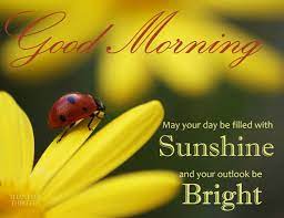 It's time to wake up and give me a hug, good morning ladybug! Good Morning Good Morning Images Hd Good Morning Images Morning Pictures